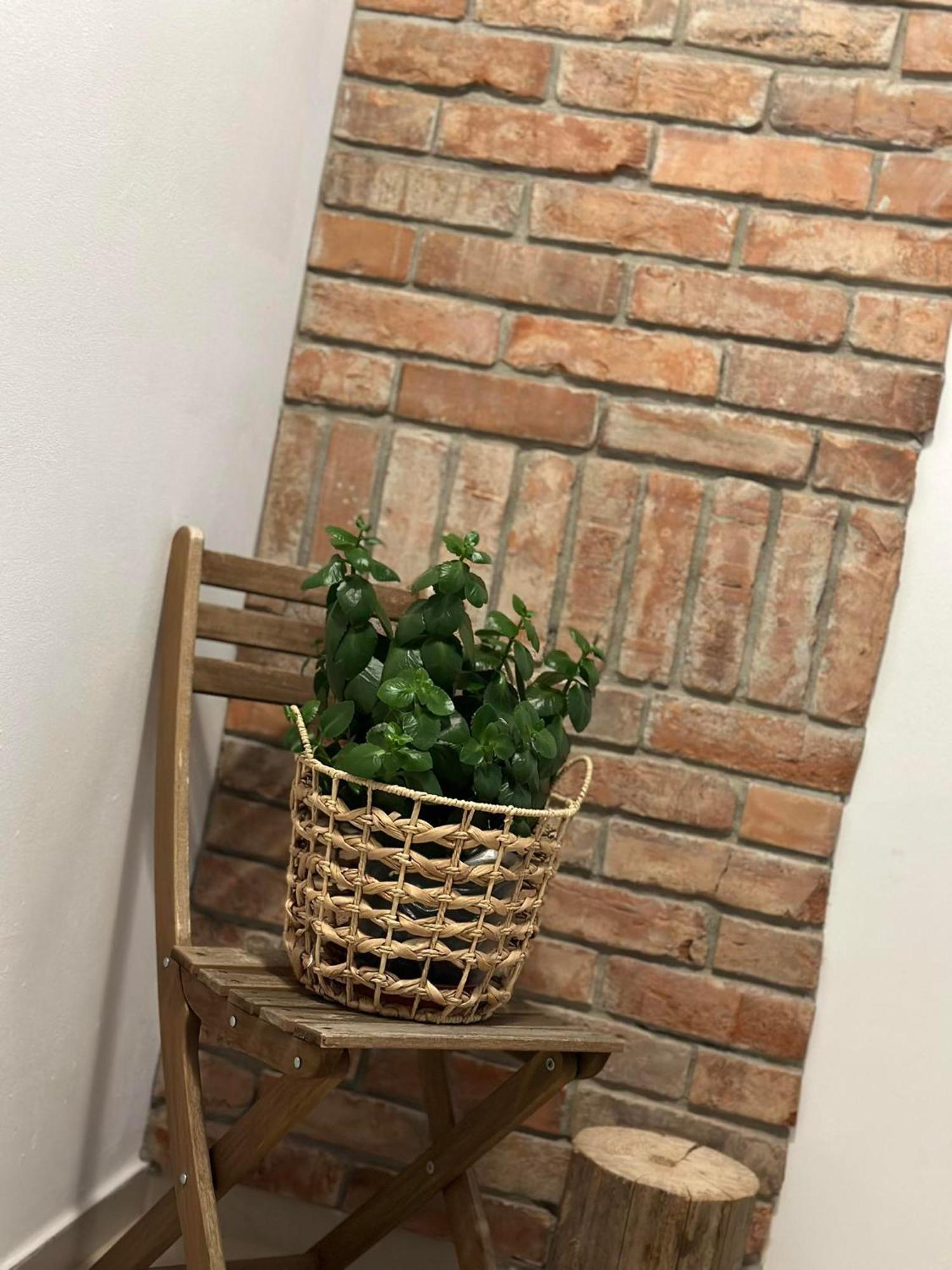 Apartament Fajny Kat Ustrzyki Dolne Bagian luar foto